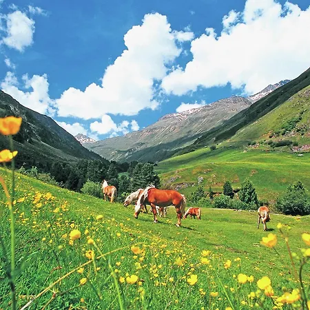 In Oetztal Near Areas * Längenfeld